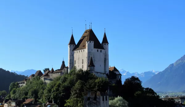 02_Schloss Thun mit Blüemlisalp.jpg