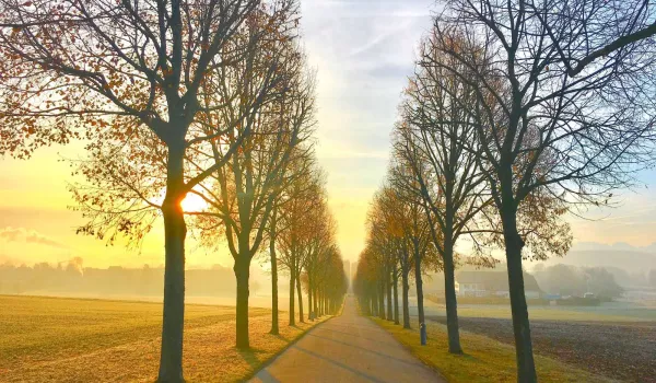 04-Schloss WaldeggAllee.jpg