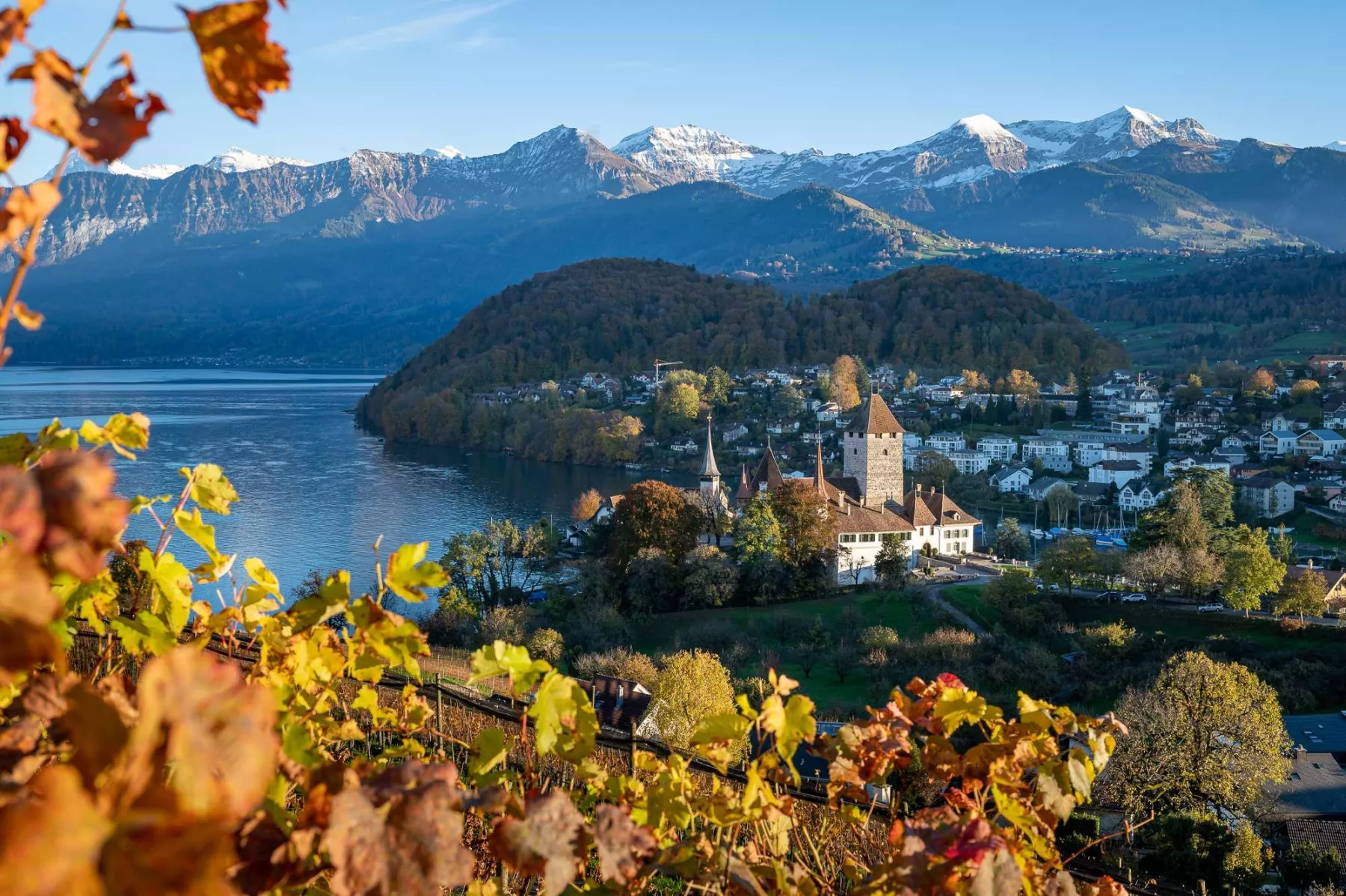 06_Schloss Spiez im Herbst_Foto Juerg Bolliger.jpg