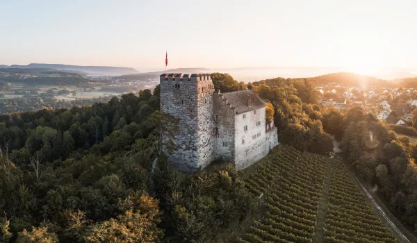 1_HAUPTBILD-schloss-habsburg .jpg