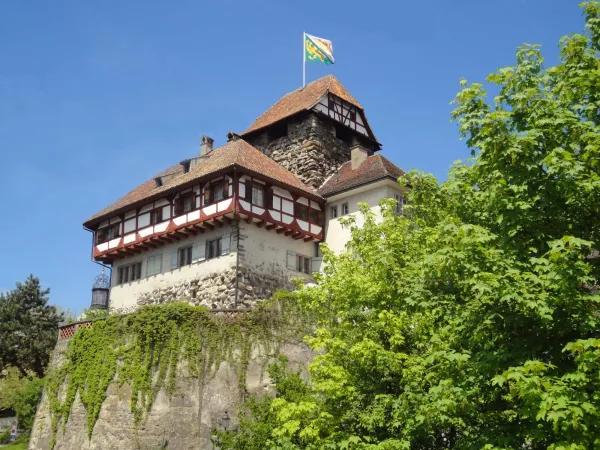 Schloss Frauenfeld