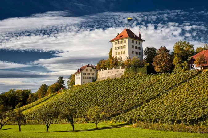 Schloss Heidegg