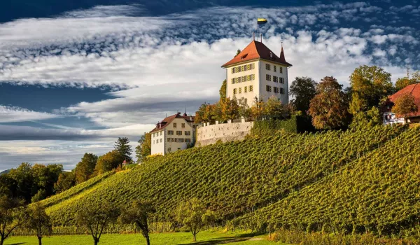 1_schloss_heidegg_von-sueden_foto beat_brechbuehl.jpg