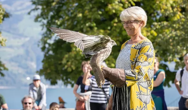 16_Schloss_Spiez_Mittelalter Anlass.jpg