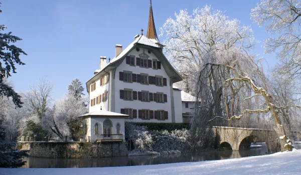 8_Schloss Landshut Winter.jpg