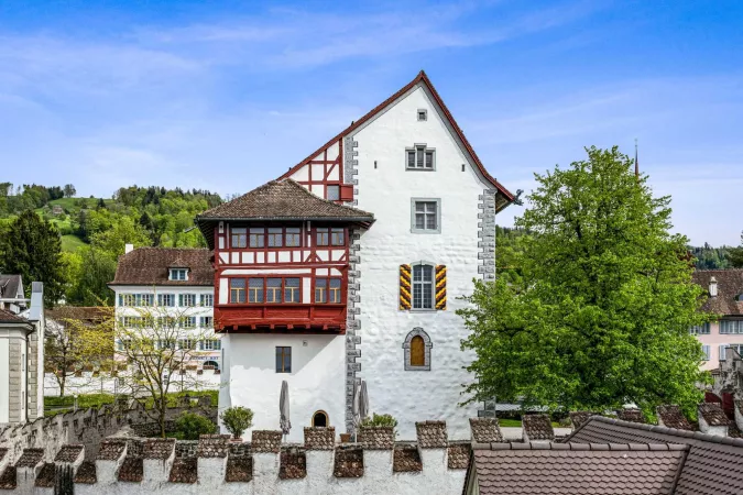 Burg Zug